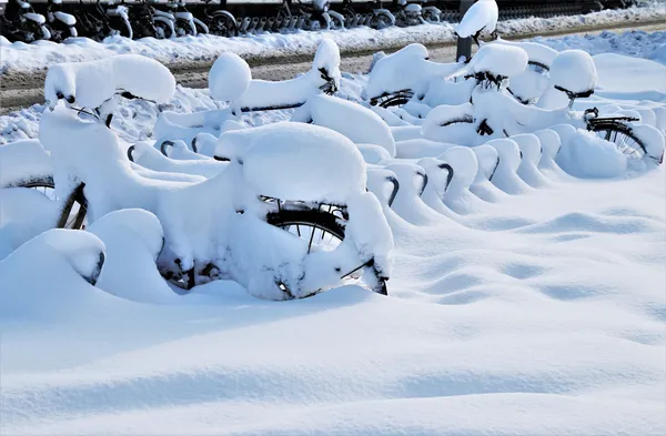 A row of bicycles beside a road are mostly covered in a thick blanket of fresh snow.