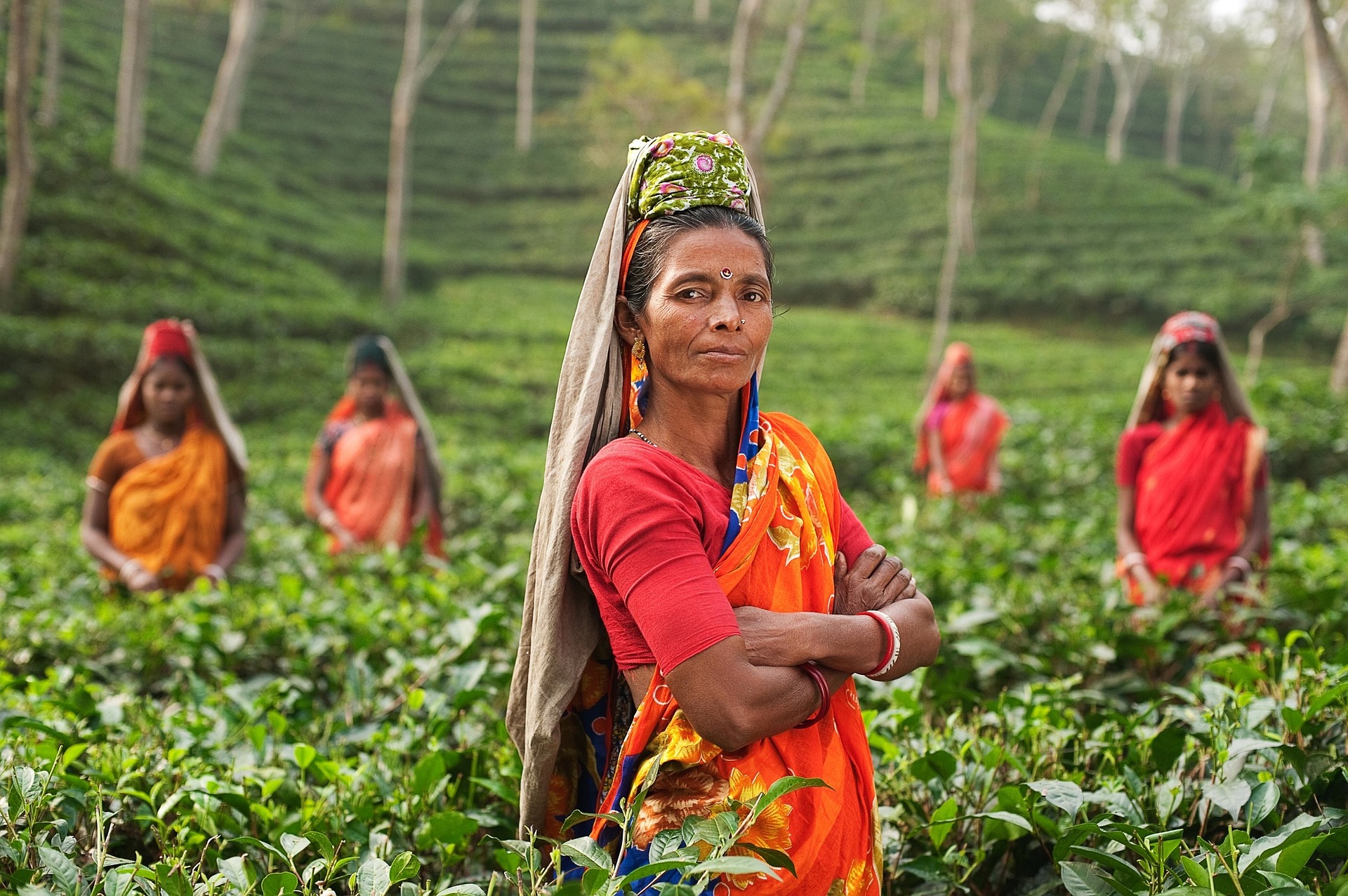 an indian woman in traditional clothing, standing in a field